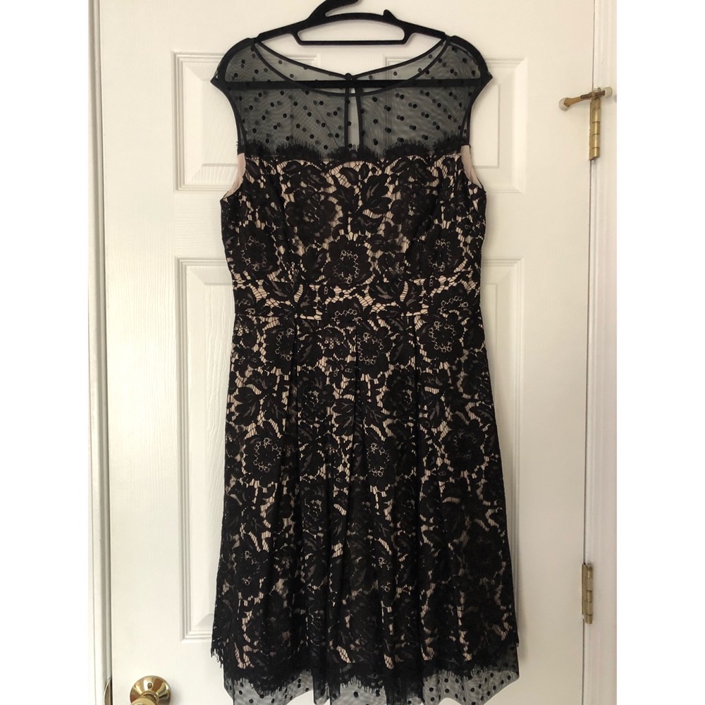 Eliza J Lace Dress with Polka Dot Details- Sz. 10